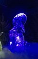 IJsbeelden Zwolle 2019 (20)